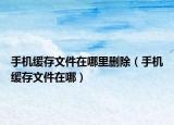 手机缓存文件在哪里删除（手机缓存文件在哪）