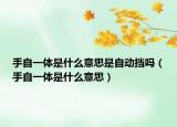 手自一体是什么意思是自动挡吗（手自一体是什么意思）