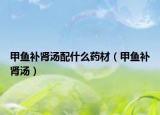 甲鱼补肾汤配什么药材（甲鱼补肾汤）