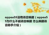 oppoa55没有语音唤醒（oppoa55为什么不能语音唤醒 怎么唤醒语音助手介绍）