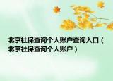 北京社保查询个人账户查询入口（北京社保查询个人账户）