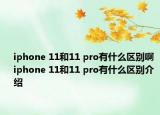 iphone 11和11 pro有什么区别啊 iphone 11和11 pro有什么区别介绍
