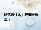 脏代表什么（脏身啥意思）