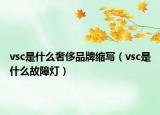 vsc是什么奢侈品牌缩写（vsc是什么故障灯）