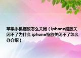 苹果手机缩放怎么关闭（iphone缩放关闭不了为什么 iphone缩放关闭不了怎么办介绍）