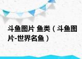 斗鱼图片 鱼类（斗鱼图片-世界名鱼）