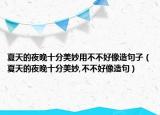 夏天的夜晚十分美妙用不不好像造句子（夏天的夜晚十分美妙,不不好像造句）