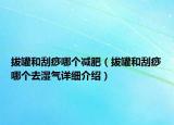 拔罐和刮痧哪个减肥（拔罐和刮痧哪个去湿气详细介绍）