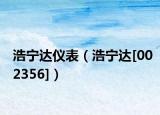 浩宁达仪表（浩宁达[002356]）