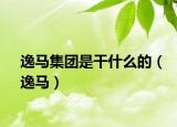 逸马集团是干什么的（逸马）