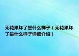 无花果坏了是什么样子（无花果坏了是什么样子详细介绍）