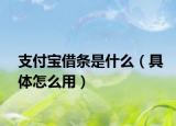 支付宝借条是什么（具体怎么用）