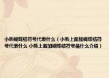 小熊蝴蝶结符号代表什么（小熊上面加蝴蝶结符号代表什么 小熊上面加蝴蝶结符号是什么介绍）