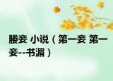 媵妾 小说（第一妾 第一妾--书湄）