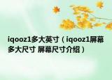 iqooz1多大英寸（iqooz1屏幕多大尺寸 屏幕尺寸介绍）