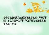 华为手机的相片怎么传到苹果手机呢（苹果手机照片怎么传到华为手机 华为手机怎么接收苹果手机照片介绍）