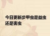今日更新步甲虫是益虫还是害虫
