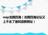 wap龙腾四海（龙腾四海论坛又上不去了谁知道新网址）