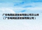 广东电网能源发展有限公司怎么样（广东电网能源发展有限公司）