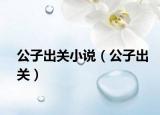 公子出关小说（公子出关）