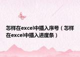 怎样在excel中插入序号（怎样在excel中插入进度条）