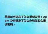 苹果id密码忘了怎么重新设置（Apple ID密码忘了怎么办教你怎么重设密码）