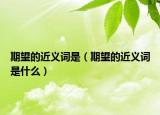 期望的近义词是（期望的近义词是什么）