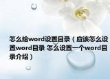 怎么给word设置目录（应该怎么设置word目录 怎么设置一个word目录介绍）