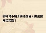 哪种鸟不属于佛法僧目（佛法僧 鸟类类别）