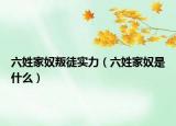 六姓家奴叛徒实力（六姓家奴是什么）