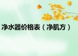 净水器价格表（净肌方）