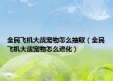 全民飞机大战宠物怎么抽取（全民飞机大战宠物怎么进化）