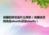 说服的拼音是什么样的（说服读音到底是shuofu还是shuifu）