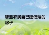 哪些农民自己建低矮的房子