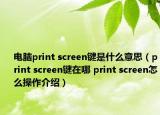 电脑print screen键是什么意思（print screen键在哪 print screen怎么操作介绍）