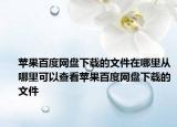 苹果百度网盘下载的文件在哪里从哪里可以查看苹果百度网盘下载的文件
