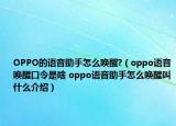 OPPO的语音助手怎么唤醒?（oppo语音唤醒口令是啥 oppo语音助手怎么唤醒叫什么介绍）
