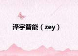 泽宇智能（zey）