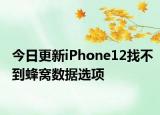 今日更新iPhone12找不到蜂窝数据选项