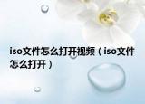 iso文件怎么打开视频（iso文件怎么打开）