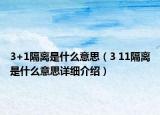 3+1隔离是什么意思（3 11隔离是什么意思详细介绍）