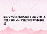 xlsx文件无法打开怎么办（xlsx文件打不开什么原因 xlsx文件打不开怎么回事介绍）