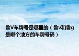鲁V车牌号是哪里的（鲁v和鲁g是哪个地方的车牌号码）