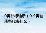 0类非标轴承（0-9类轴承各代表什么）