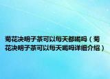 菊花决明子茶可以每天都喝吗（菊花决明子茶可以每天喝吗详细介绍）