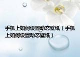 手机上如何设置动态壁纸（手机上如何设置动态壁纸）