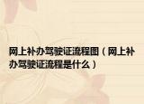 网上补办驾驶证流程图（网上补办驾驶证流程是什么）
