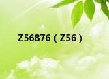 Z56876（Z56）