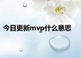 今日更新mvp什么意思