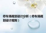 停车场规划设计分析（停车场规划设计规则）